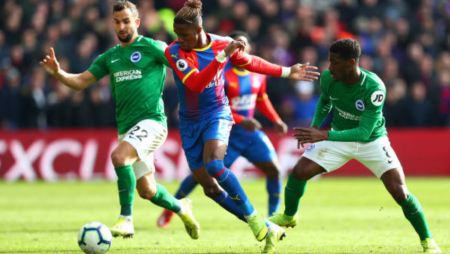Nhận định bóng đá trận Brighton vs Newcastle, Premier League 2019-2020 ngày 09/5