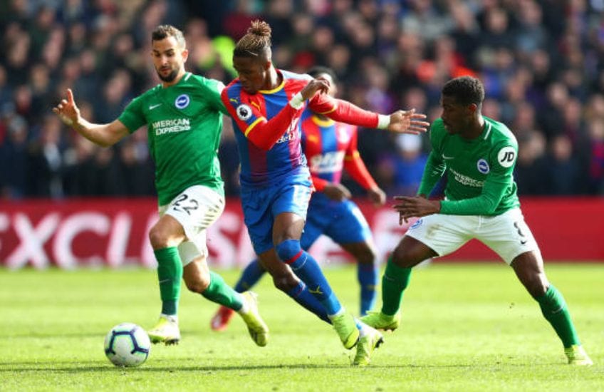 Nhận định bóng đá trận Brighton vs Newcastle, Premier League 2019-2020 ngày 09/5