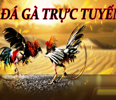 Đá gà w88 – Chơi đá gà trực tuyến ăn tiền uy tín tại W88