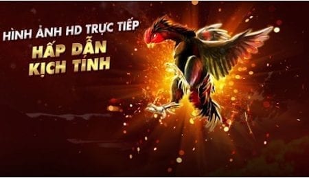 Đá gà trực tuyến UCW88 và mẹo dành cho người mới