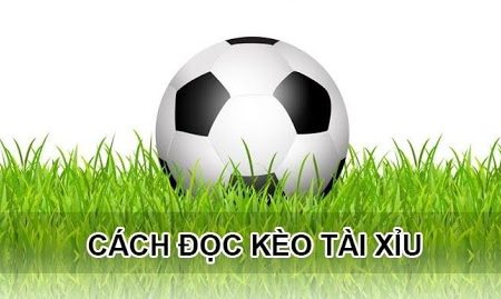 Hướng dẫn cách soi kèo tài xỉu chính xác và hiệu quả nhất