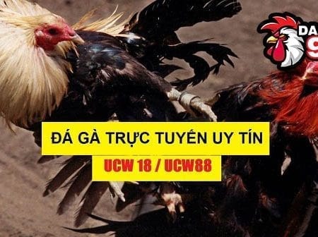 Hướng dẫn đăng nhập UCW88 chuẩn xác nhất