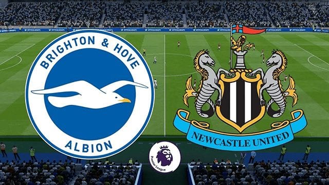 Nhận định Brighton & Hove Albion vs Newcastle lúc 00h00 ngày 21/7/2020